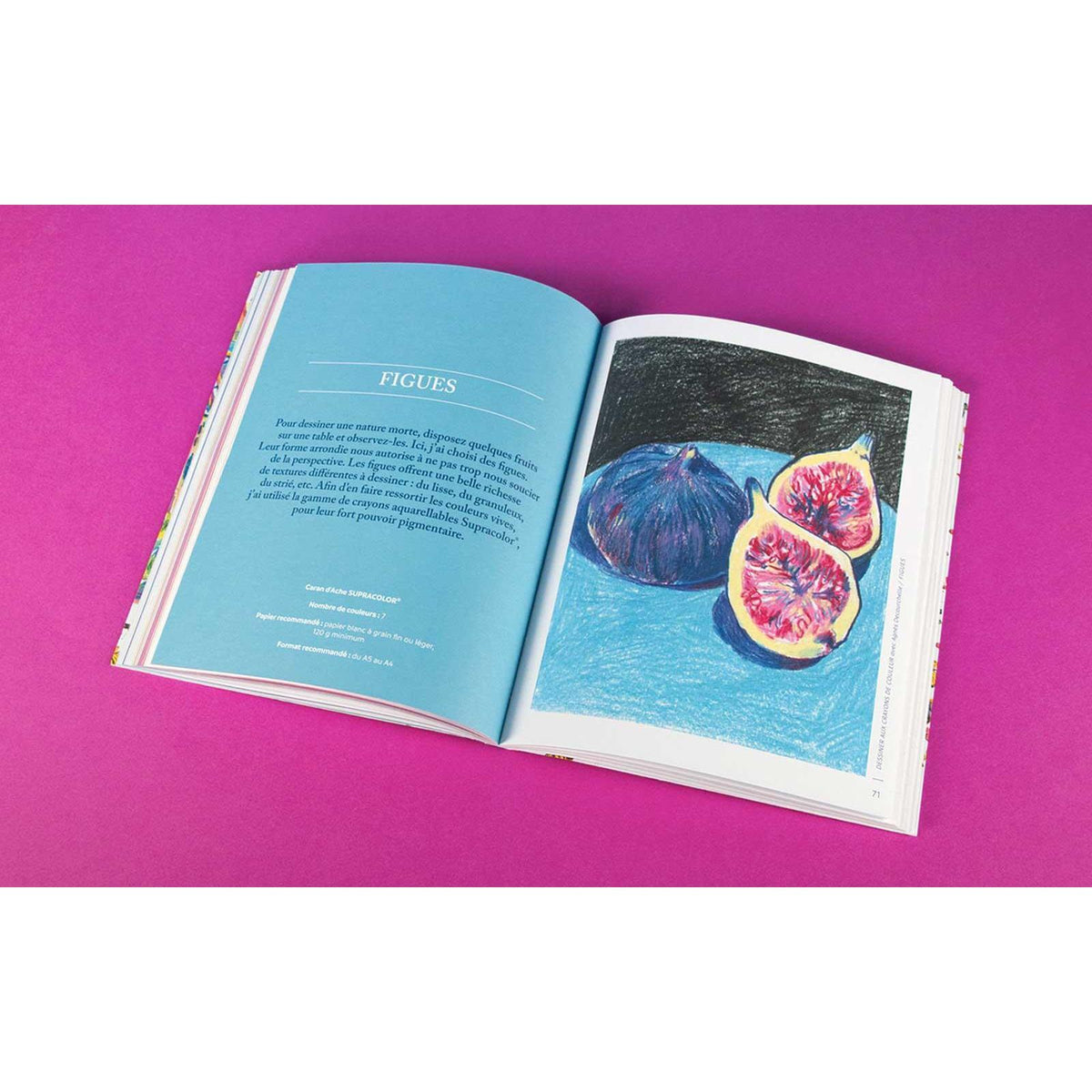 Livre « Dessiner aux crayons de couleurs avec Agnès Decourchelle » Version Française