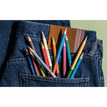 Scatola con 12 Matite Colorate Bicolori & 1 Pennello Paul Smith